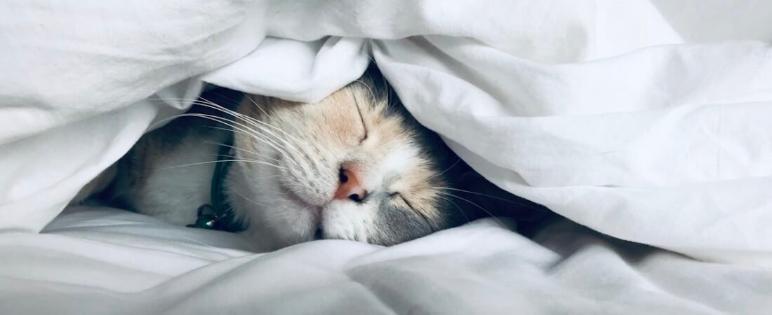 Améliorer son sommeil naturellement : 12 solutions sans médicaments