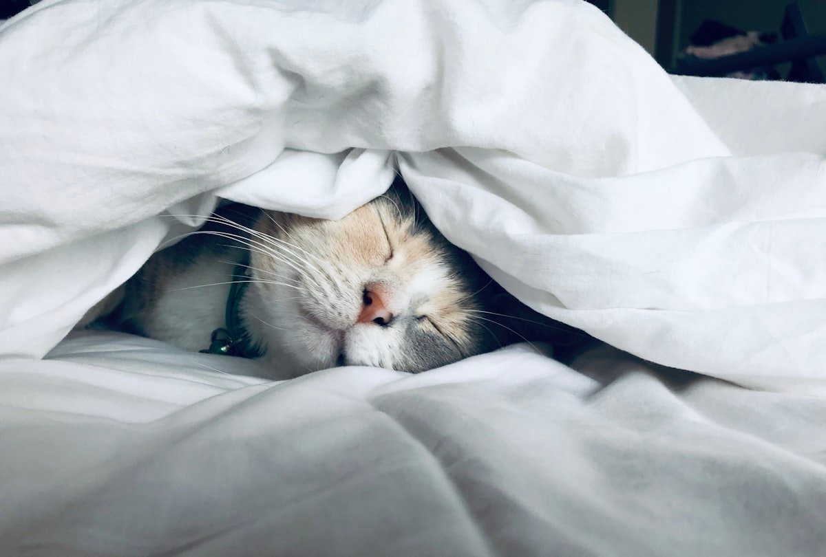 Améliorer son sommeil naturellement : 12 solutions sans médicaments