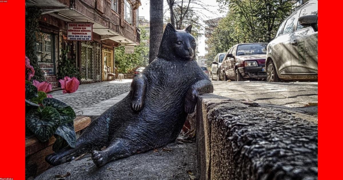 Jeûne intermittent femme : guide complet pour maigrir