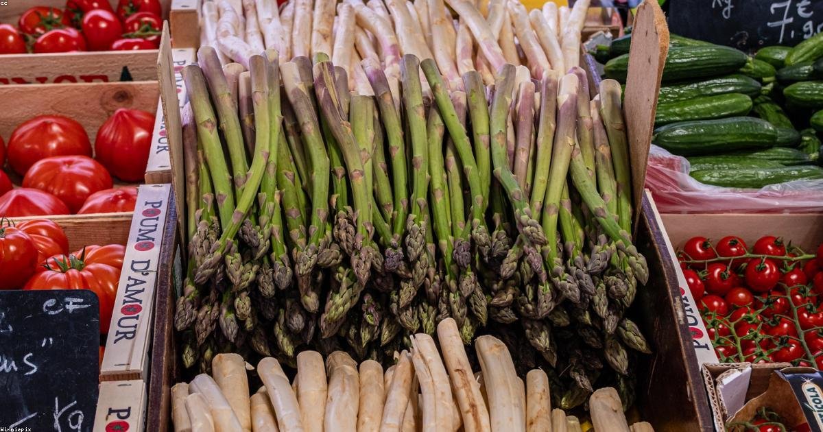 Travail de nuit et énergie : stratégies scientifiques pour préserver votre vitalité