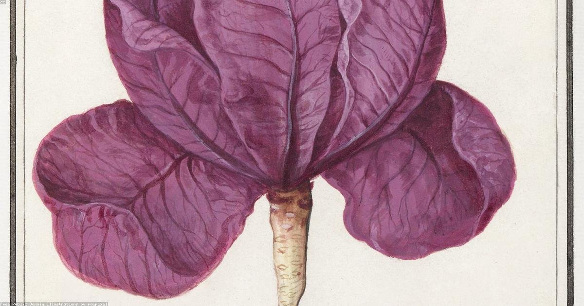 Inflammation et alimentation : guide pratique
