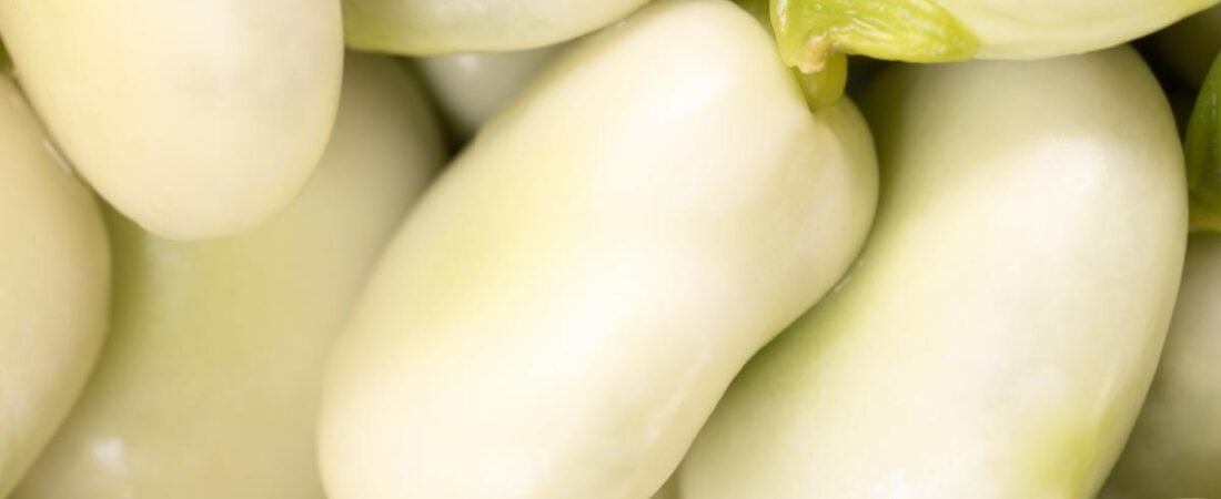Manger lentement : un secret pour maigrir naturellement