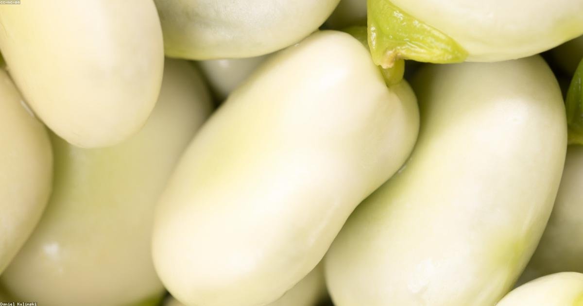Manger lentement : un secret pour maigrir naturellement