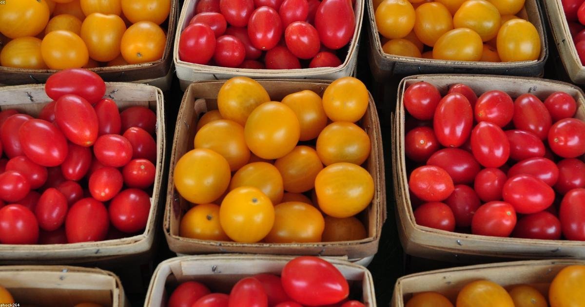 La vitamine K2 : méconnue mais indispensable pour les os et le cœur
