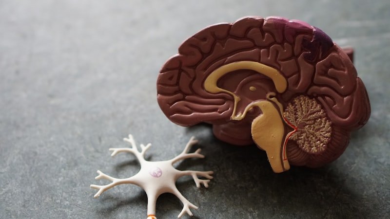Neurofeedback : entraîner son cerveau pour mieux vivre