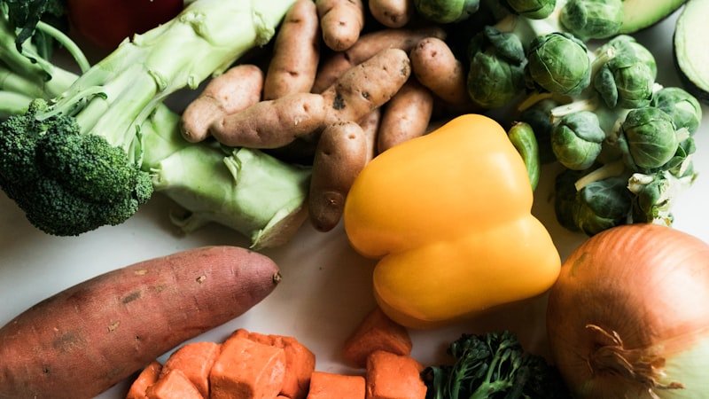 Zinc et immunité : guide complet de la supplémentation