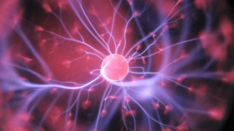 Mitochondries : comprendre et optimiser votre énergie cellulaire